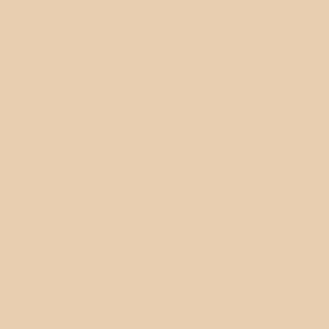 NO.03 Desert Sand